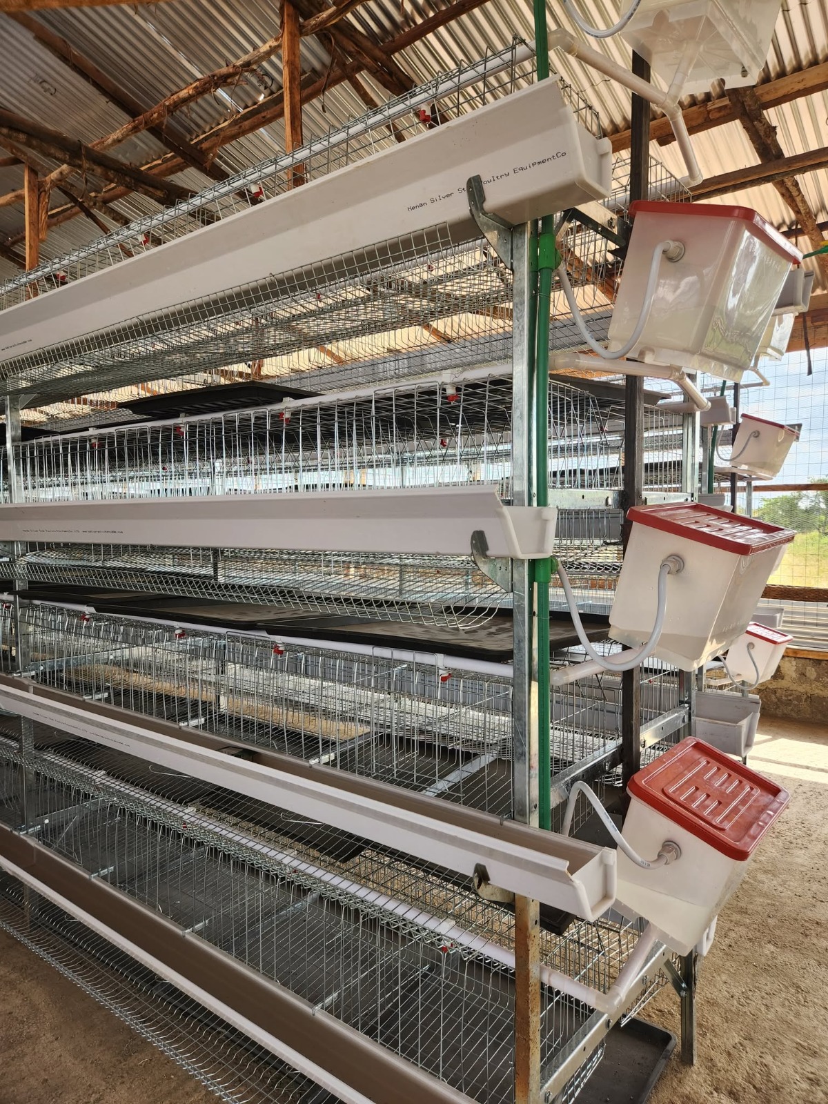 🏗️🐔 H-TYPE CAGE | STRONG & EFFICIENT 🔥 - view 1