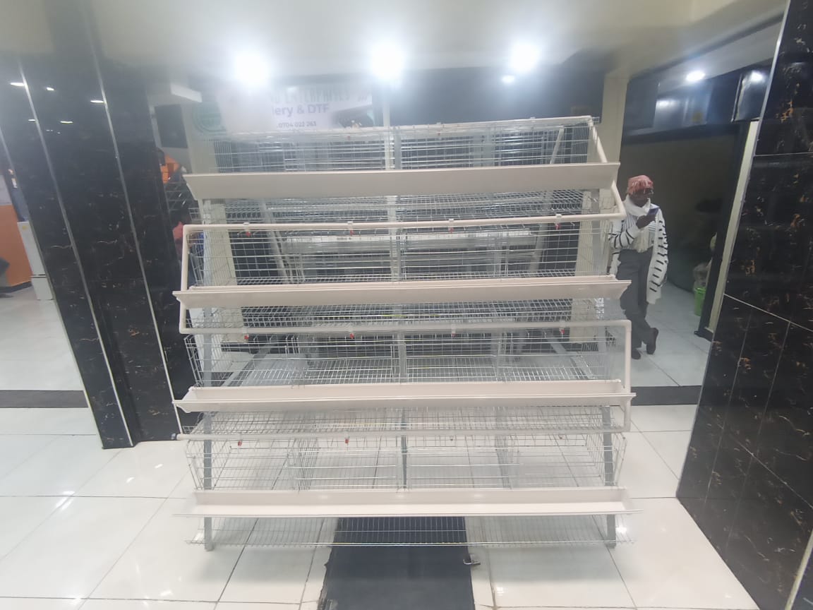 🏠🐔 A-TYPE CAGE | SIMPLE & EFFECTIVE 🔥